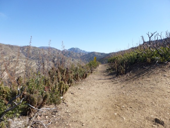Silver Moccasin Trail at Shortcut Saddle.