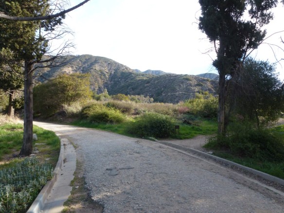 View of the junction with the dirt path from the paved road.
