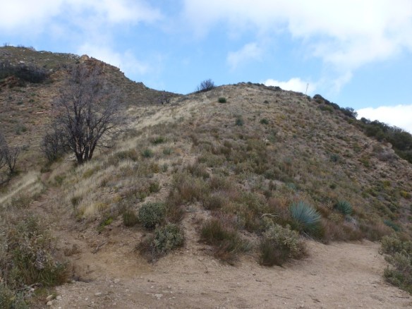 Inspiration_Peak_125