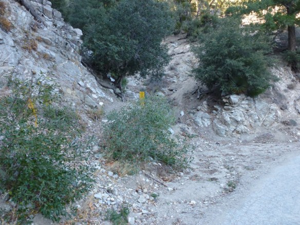San Gabriel Peak Trailhead