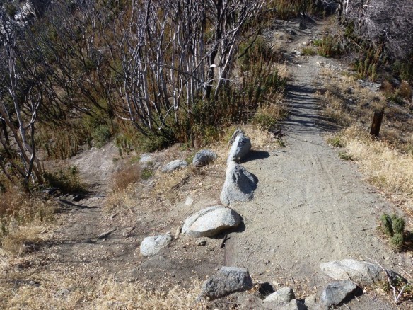 San_Gabriel_Peak_131