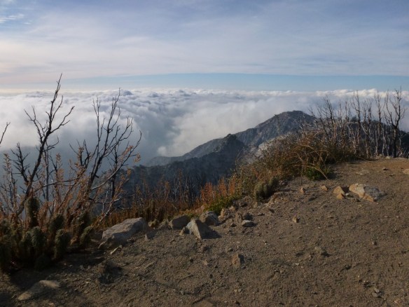 San_Gabriel_Peak_194