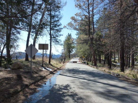 Vetter2_001 View from trailhead at Angeles Crest Highway