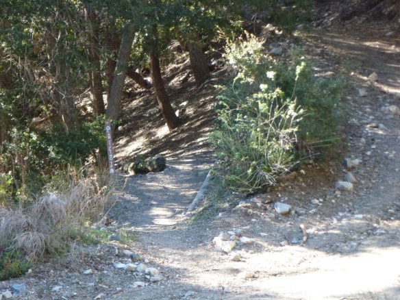 Gabrieleno_RB_VF_015