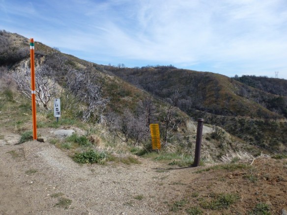 P1110854 View at trailhead across from parking at Angeles Crest Highway