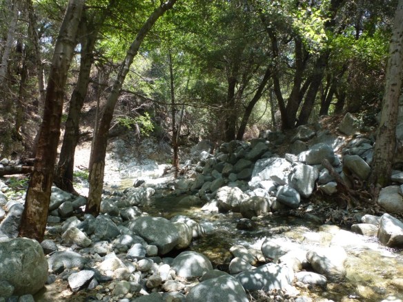 Silver_Moccasin_085 San Gabriel River crossing.