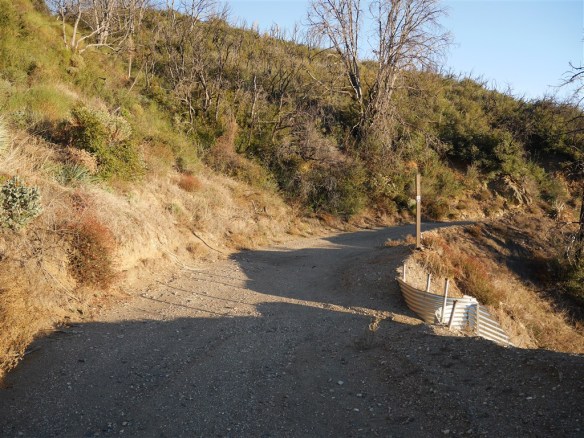 View of JCT (note sign post) for trail continuation from road to Angeles Crest Highway. View is in the direction leading up from West Fork Trail Camp.