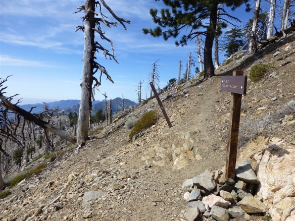 Junction with the summit trail leading to Mt. Islip. Go Right for Mt. Islip and straight to continue along Islip Ridge toward Crystal Lake.