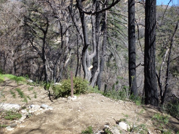 Junction along the Gabrieleno Trail.  Right leads to the Valley Forge Campground.