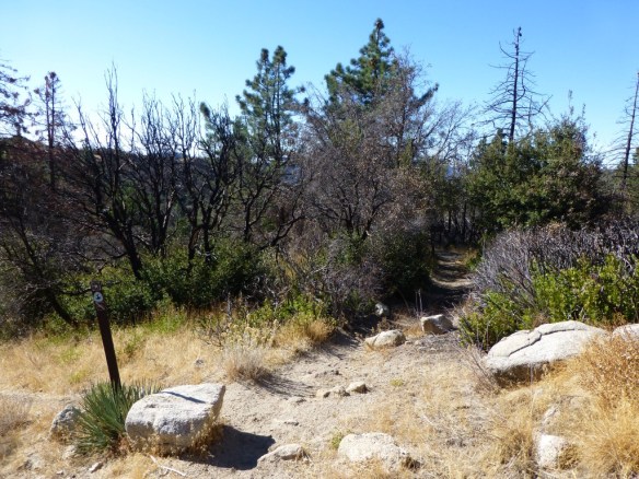 Junction for PCT and Mt. Waterman trails across Angeles Crest highway.