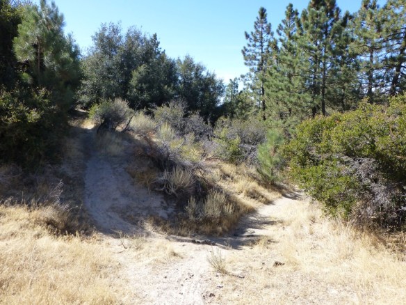 View at junction showing the way down to continue on the Silver Moccasin Trial to Bandito Campground.