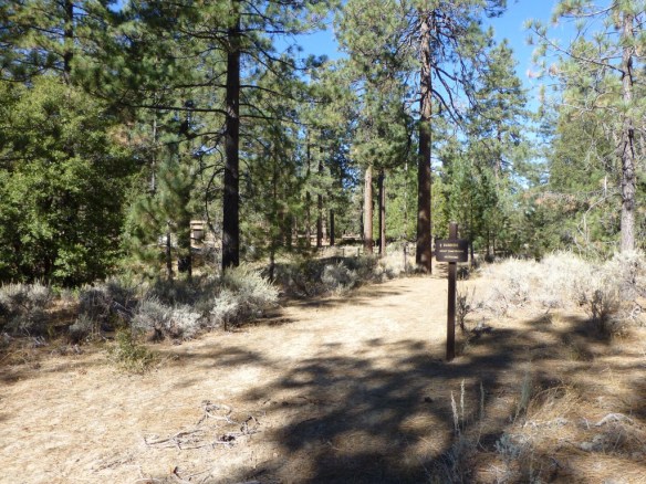 View at junction to Bandito Campground as seen coming from Three Points.
