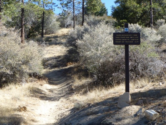 JCT to Horse Flats.  View to heading toward Bandito Campground