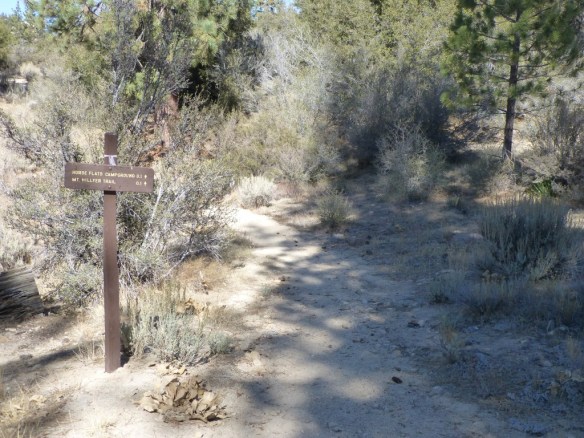 View at the junction with the Silver Moccasin Trail heading toward Horse Flats