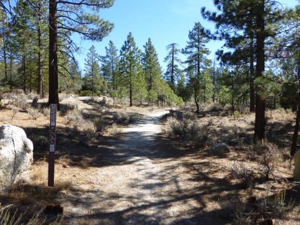 View from Horse Flats Campground heading toward the Silver Moccasin Trail.
