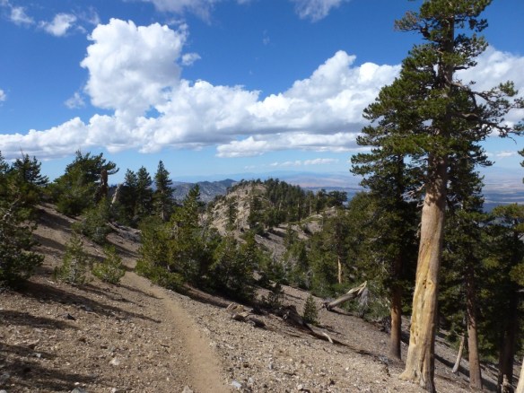 Pacific Crest Trail, October 2011