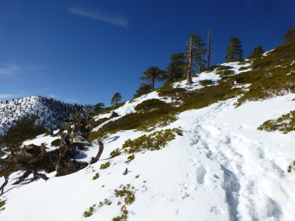 One of the steeper portions of the Baldy Bowl Trail.
