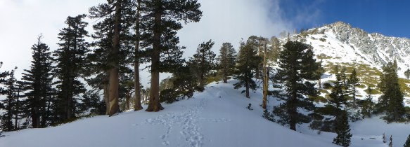 Baldy Bowl Trail