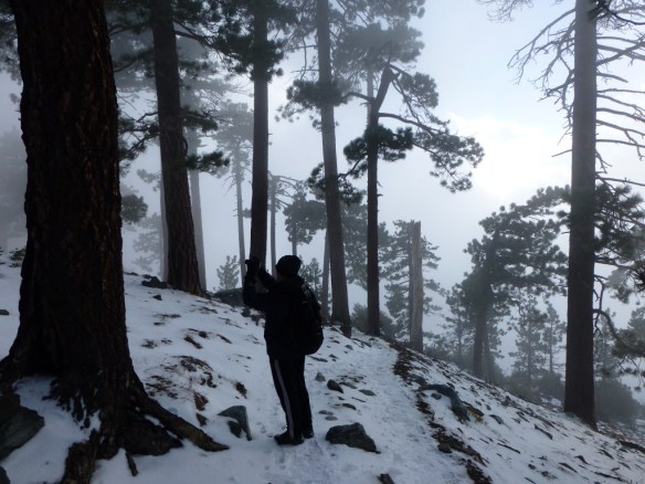 Scott Turner photographing the mist just below the Ski Hut.