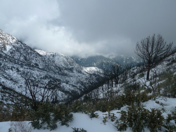 View toward Mt. Wilson (blocked by clouds) from Inspiration Point.