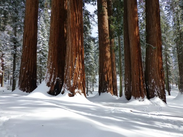 View looking at the outside of the Parker Group.