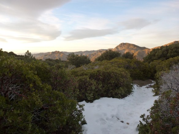 Lower San Gabriel Peak Trail, December 2011
