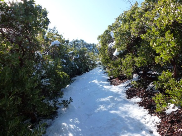 View toward Mt. Disappointment from the San Gabriel Peak Trail.  Snow can get slippery in this area that is more exposed to sunlight.