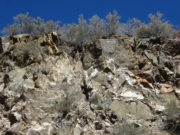 South Fork Trail, November 2011