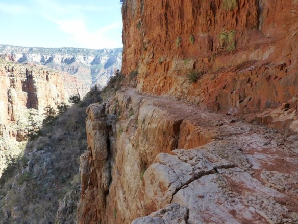 North Kaibab Trail between Cottonwood Campground and the North Rim.