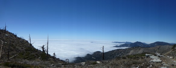 Pacific Crest Trail between Windy Gap and junction with the Hawkins Ridge Trail. (click to enlarge)