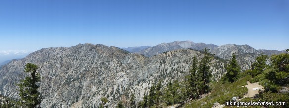 Cucamonga Peak Trail