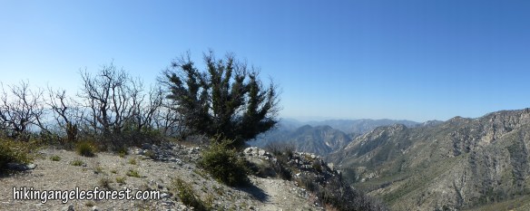 View from Upper Sam Merrill Trail near Mt. Lowe. (click to enlarge)