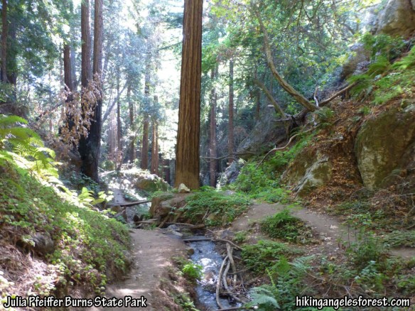 Canyon Trail to Canyon Falls