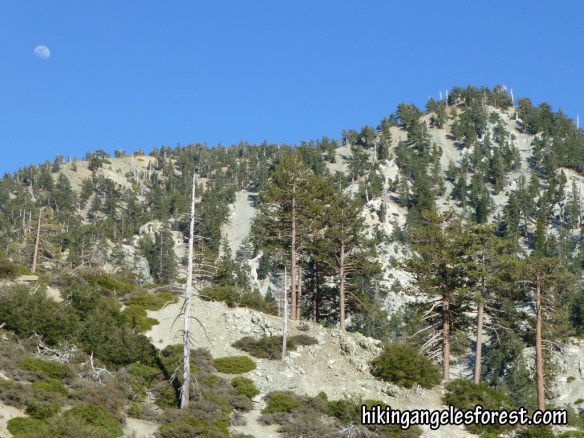 View from Chapman Trail