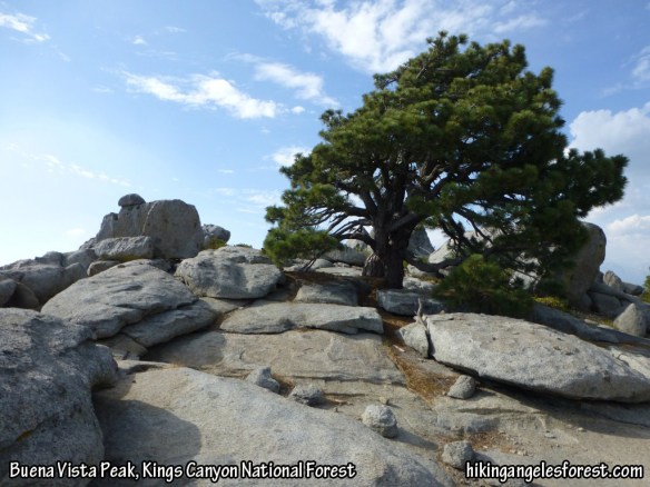Buena Vista Peak