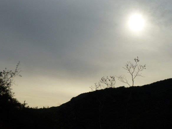 Upper Oso Canyon to Nineteen Oaks Campground.
