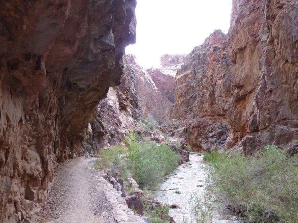 Enclosing nature of "The Box" area along the North Kaibab Trail.