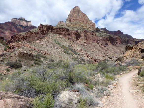 The sculptural nature of the landscape as seen along the North Kaibab Trail below Cottonwood Campground.