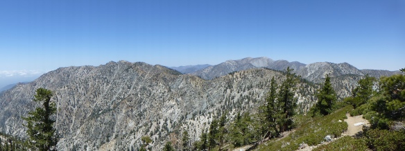 View toward Mt. Baldy from the Cucamonga Peak Trail. (click to enlarge)