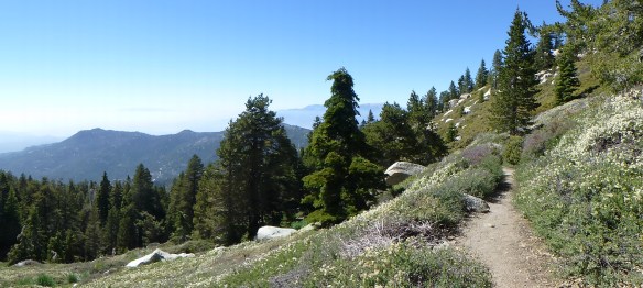 Trail between Fuller Ridge and Little Round Valley.