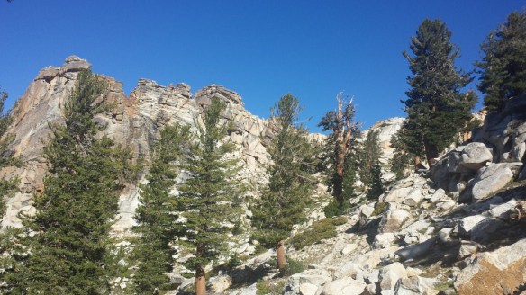 Alta Trail, JCT Alta Meadow to Alta Peak