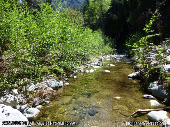 Gabrieleno Trail between West Fork Trail Camp and Devore Trail Camp.
