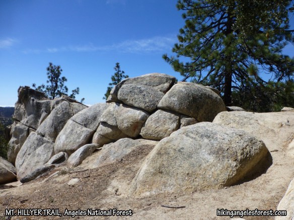 Mt. Hillyer Trail between Horse Flats and the summit.
