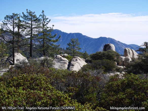 View looking toward Twin Peaks from the Mt. Hillyer Trail.
