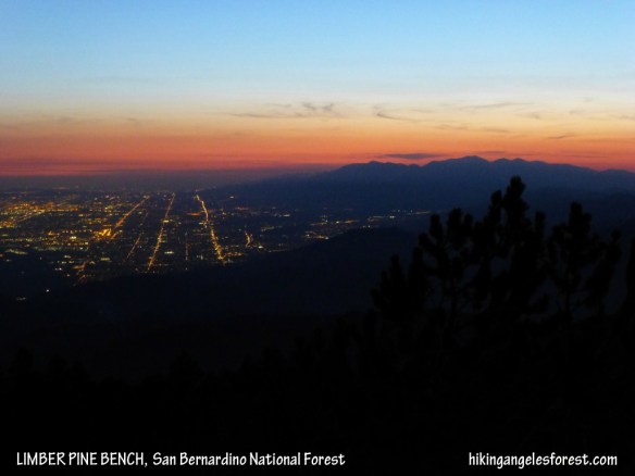 View from Limber Pine Bench.