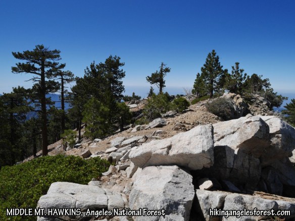 View toward south from Middle Mt. Hawkins.