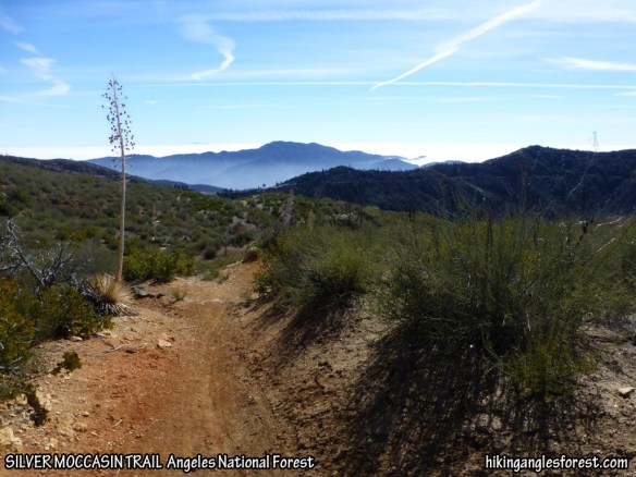 View between Charlton Flats and Angeles Crest Highway.