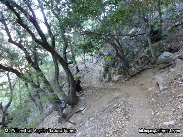 Mt. Wilson Trail between Manzanita Ridge and Orchard Camp.