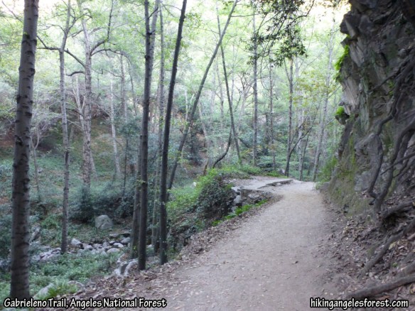 Gabrieleno Trail between Winter Creek Trail and Upper Falls Trail.