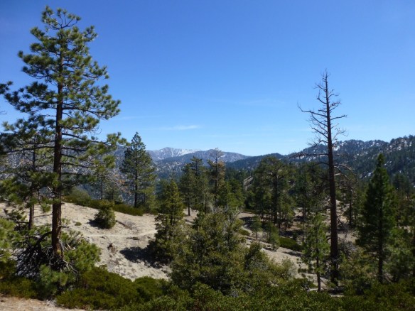 Pacific Crest Trail between Cloudburst Summit and Cooper Canyon Campground (5.2 miles, 1,400' gain).